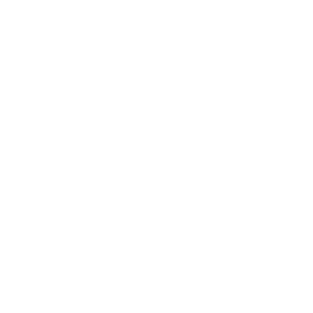 Jiggers